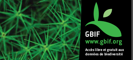 gbif_logo
